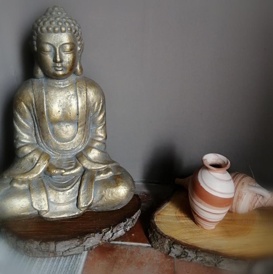 مبيت وإفطار Ferolles Jacuzzi Massage Sur Rdv,Duo,Reiki,Californien, Reflexologie Plantaire, Et Bouteille Mousseux Offerte المظهر الخارجي الصورة